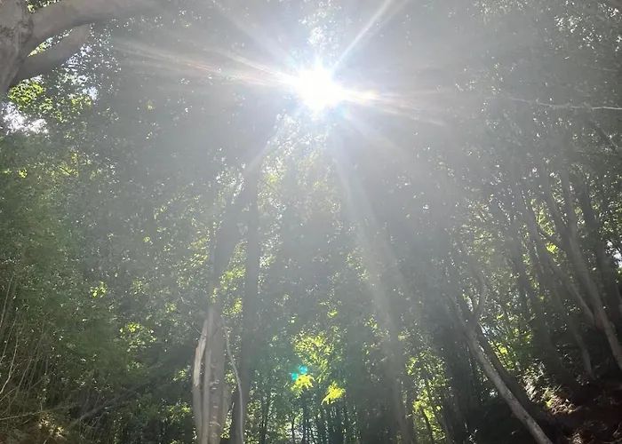 Przy Klifach * Jastrzębia Góra